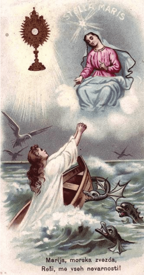 61523898_1344771025670311_3089842448185163776_n